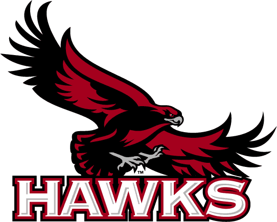 St. Joseph's Hawks 2001-Pres Primary Logo t shirts iron on transfers